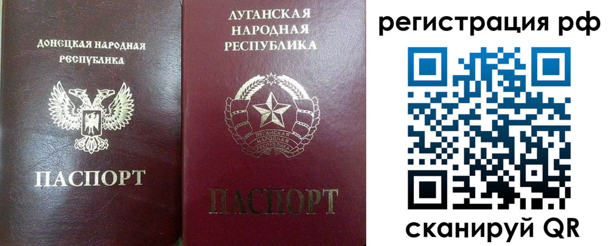найти адрес прописки в Донском